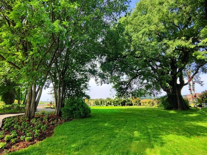 Pizza Experience: L'Arte del Forno a Legna in uno storico casale del Garda 2